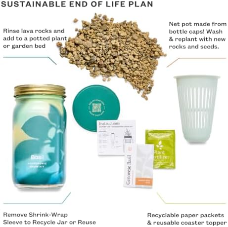 Modern Sprout Mason Garden Jar-Self-Watering Hydroponics Kit-Basil+Lavender