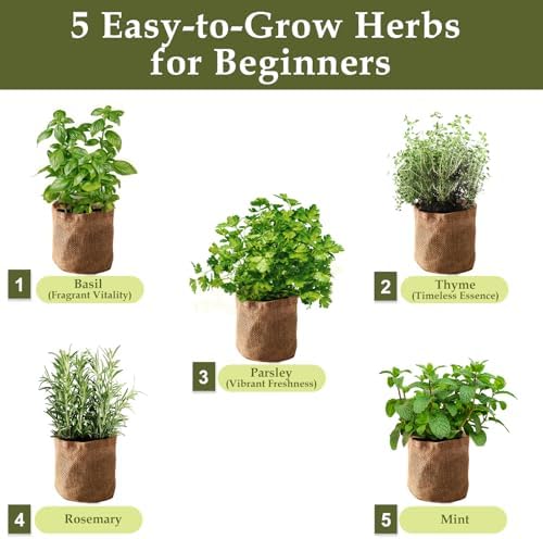 5 Herb Garden Planter Indoor with Wooden Box, Home Kitchen Seed Starter Kit Including Basil, Thyme, Parsley, Rosemary, Mint, Birthday, Mothers Day, House Warming, Gardening Gifts for Women, Mom