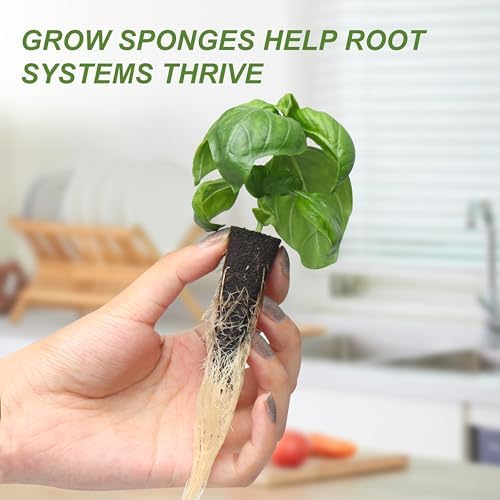 Kratky Method Hydroponic Planter Kit, 8 Hydroponic Planter Plus 24 Growing Sponges for Herbs, Hydroponic Mini Buckets for Windowsill Herb Garden, Hydroponic Growing System for Vegetables (Black)