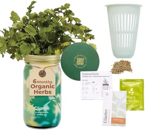 Modern Sprout Mason Garden Jar - Self-Watering Hydroponics Kit - Cilantro