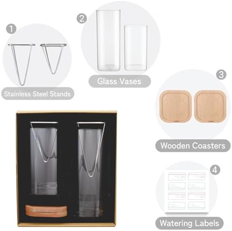 Avocado Seed Growing Kit, Set of 2 Glass Vases with Stainless Steel Holder & Wood Base, Avocado Growing Vase Hydroponic Propagation Starter Kit for Sprouting, Home Decor Plant Gift - No Seeds