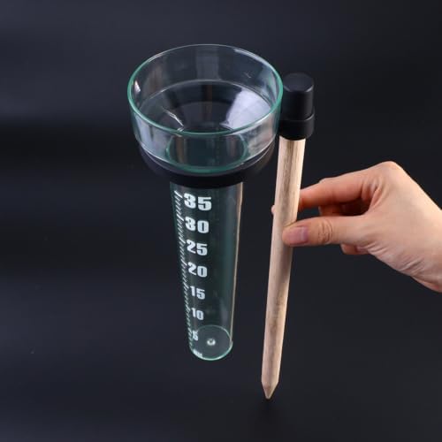 Beavorty 2 Sets Outdoor Rain Gauge and Wind Direction Meter with Thermometer, Plastic Material, Measuring Wind Direction and Rainfall, for Garden Decoration and Farm Planting