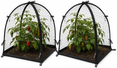 NuVue Products 32103 Pop-Up Garden Netting Pest Guard Covers with Ground Spikes, Mesh Plant Cover Tents for Pest and Animal Control, Pack of 2, Black, 36" x 36" x 38"