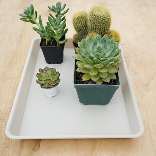VUWEZ Rectangle Plant Tray, Plant Drip Tray, Plant Pot Saucers, Plant Germination Trays, Plant Saucers, 14.5'' x 11'' x 1.5'' (2 pack), Beige