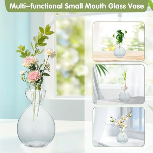 2PCS Small Avocado Grow Vase Glass Acorn Seed Starter Vase Pot for Growing