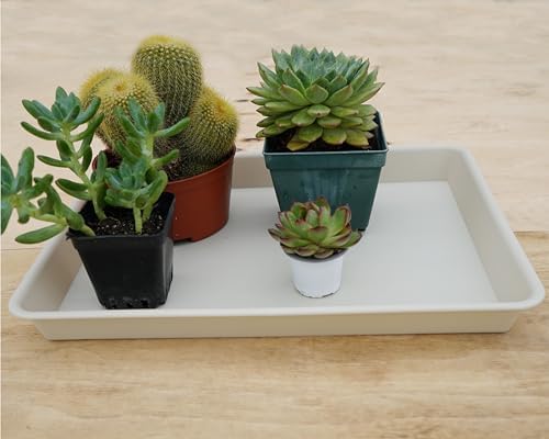 VUWEZ 2 Pack Plant Growing Nursery 1020 Trays, Plant Saucer Tray, Heavy Sturdy Seed Starting Trays, Plant Starter Trays for Indoors No Holes, Seed Starter Growing Tray (22"x11.2", Beige)