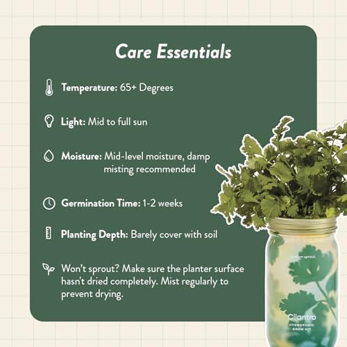 Modern Sprout Mason Garden Jar - Self-Watering Hydroponics Kit - Cilantro