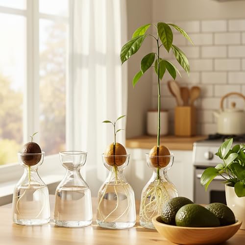 Hiceeden 3 Pack Avocado Seed Starter Vase for Growing, Glass Acorn Tree Growing Kit Vase, Small Avocado Tree Plant Pot Seed Planter, Flower Bud Vases Gift for Gardening Lovers