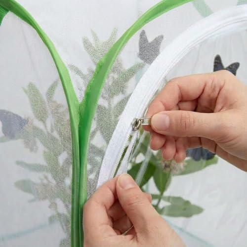 Insect & Butterfly Habitat Cage, Portable Pop-Up Terrarium with Mesh Sides, Bug Catching & Observation Enclosure for Caterpillars, Small Insects, Outdoor & Classroom Use, 24 Inches Tall