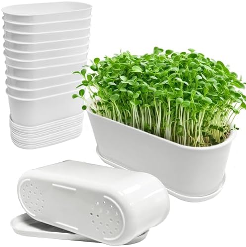Window Box Planter with Saucers,10 Sets Rectangular Planter with Multiple Drainage Holes and Trays Plant Pots, for Succulent Cactus Flowers Vegetable