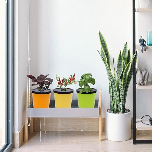 Kratky Method Hydroponic Planter Kit, 8 Hydroponic Planter Plus 24 Growing Sponges for Herbs, Hydroponic Mini Buckets for Windowsill Herb Garden, Hydroponic Growing System for Vegetables
