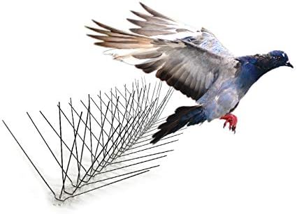 Bird-X Stainless Steel Bird Spikes, 8-inch Extra-Wide Spikes, Bird Spikes for Pigeons and Other Small Birds, Easy to Install, Contains 2 ft. Strips, Covers 24 Linear Feet Area, EWS-24