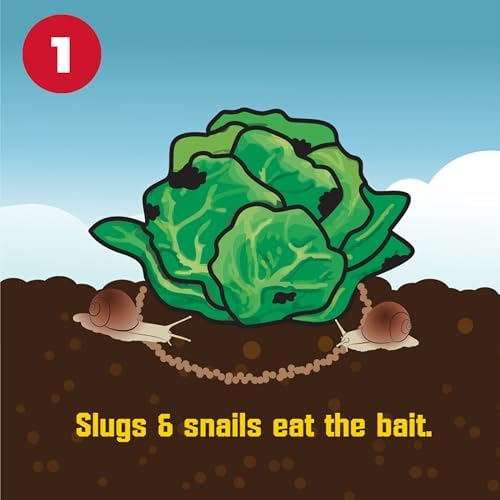 Corry's 100511427 Slug and Snail Killer, 1.75 lb