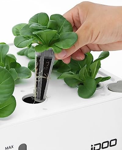 iDOO Seed Pods kit for Hydroponics System, with 12 Growth Sponges, 12 Grow Baskets, 12 Pod Labels, 12 Grow Domes, 2 Plant Food, Compatible with All Brands of Hydroponics Supplies