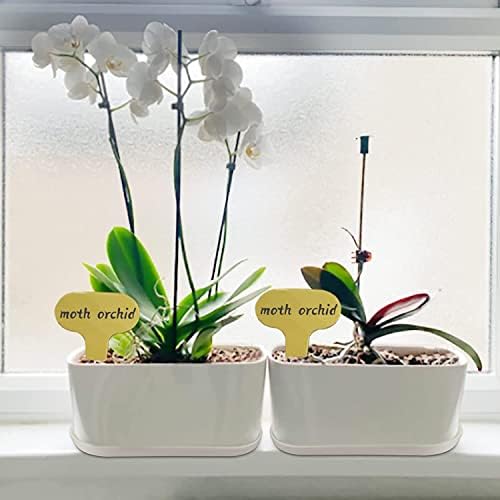 Window Box Planter with Saucers,10 Sets Rectangular Planter with Multiple Drainage Holes and Trays Plant Pots, for Succulent Cactus Flowers Vegetable
