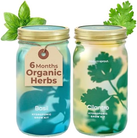 Modern Sprout Mason Garden Jar-Self-Watering Hydroponics Kit-Basil+Cilantro