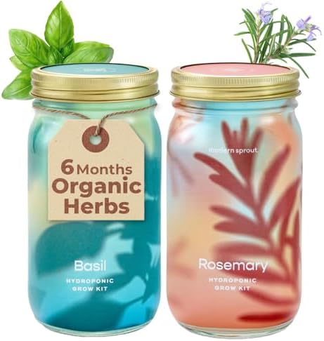 Modern Sprout Mason Garden Jar-Self-Watering Hydroponics Kit-Basil+Rosemary