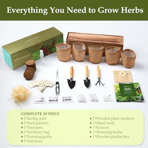 5 Herb Garden Planter Indoor with Wooden Box, Home Kitchen Seed Starter Kit Including Basil, Thyme, Parsley, Rosemary, Mint, Birthday, Mothers Day, House Warming, Gardening Gifts for Women, Mom