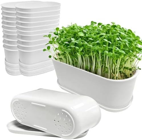 20 Set Window Herb Planter Box Rectangular,8.5x3.5 Inch White Plastic Planters with Multiple Drainage Holes and Trays,Indoor Succulent Cactus Mint Flower Pot for Windowsill,Garden Balcony