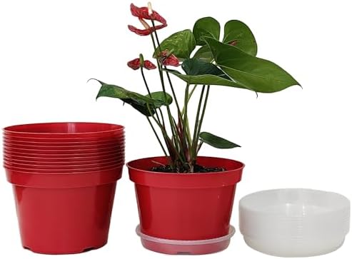 RooTrimmer 8 inch Plastic Flower Pots, Red Plant Pots 12Pack with Saucers for Indoor House Plants Growing and Decoration