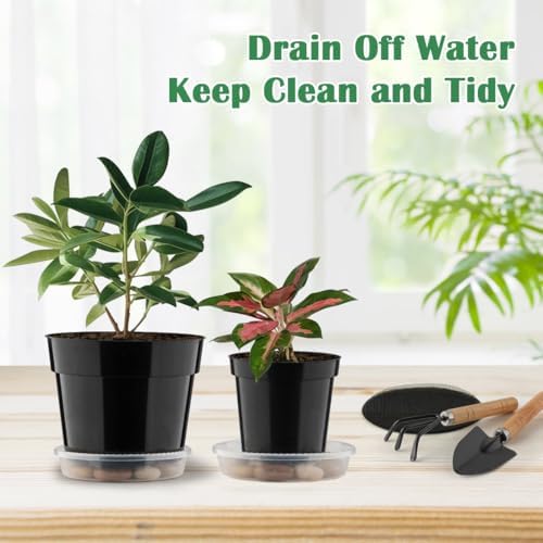 RooTrimmer 20 Pack Plant Pots, 6 Inch Plastic Plant Planter with Saucers and Mesh Mats, Durable Flower Pots with Drainage Holes Perfect for Indoor Outdoor, Black