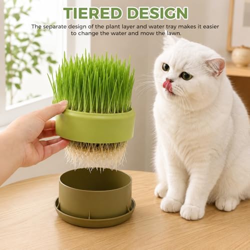 Hydroponic Cat Grass Planter, Plastic Catnip Cat Grass Box 5.31"x2.56", Soil-Free Anti-Digging Planting Trays, Wheatgrass Growing Pot for Indoor Cats Pets (Green)
