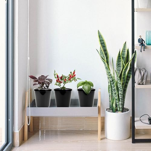 Kratky Method Hydroponic Planter Kit, 8 Hydroponic Planter Plus 24 Growing Sponges for Herbs, Hydroponic Mini Buckets for Windowsill Herb Garden, Hydroponic Growing System for Vegetables (Black)