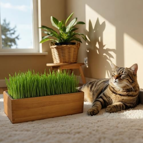Wooden Cat Grass Planter (no Seeds Included) Anti Digging Design，with Anti-Digging Grid, Potting Soil Disks,Watering Bottle and Removable Plastic Liner,Cat Grass Kit for Indoor Cats Rabbits Pets