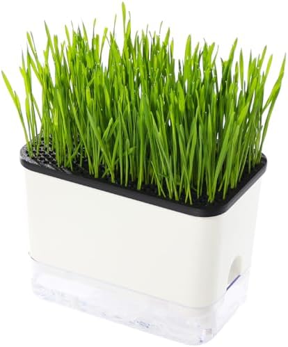 Self-Watering Cat Grass Planter (no Seeds Included) for Indoor Cats