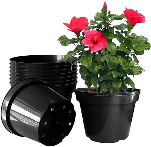 RooTrimmer 10 Inch Plastic Nursery Pots for Plants 10 Pack Plant Pots with Drainage Holes 2 Gallon Nursery Pots Perfect for Indoor Outdoor Plants Such as Herbs, Strwaberrys and Flowers, Black
