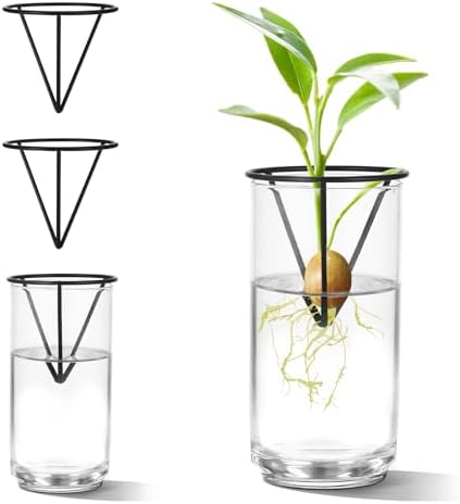 4Pcs Avocado Seed Starter vase Holders That can be Used as Propagation Kits for Plant Propagation vases, not only for Avocados but Also for Other Similar Plants (Carrots, Sweet Potatoes, etc)