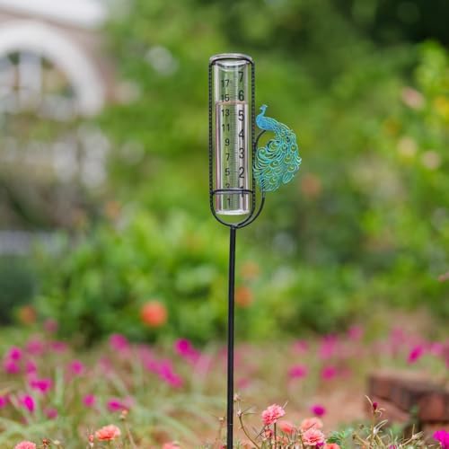 Stargarden Rain Gauge, Outdoor Peacock Rain Gauge