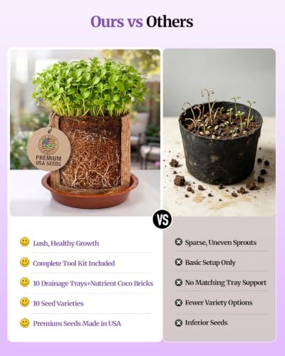 Planters' Choice Herb Growing Starter Kit, Windowsill Indoor Garden Set, Best Birthday & Housewarming Gift for Women