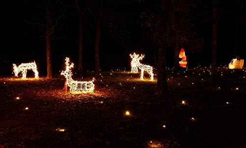 Lawn Lights Illuminated Outdoor Decoration, LED, Christmas, 36-08, Fireflies