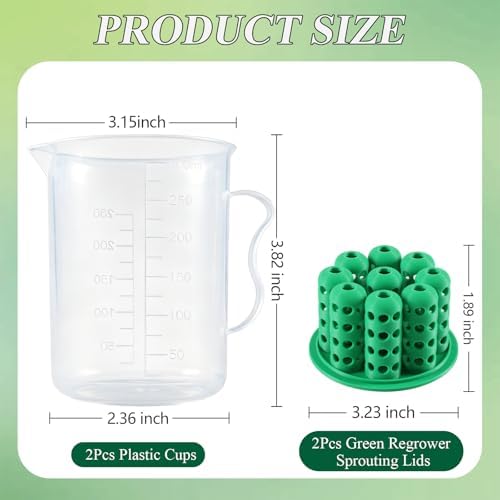 2Set Green Onion Planter Scallion Regrower Seed Sprouting Kit