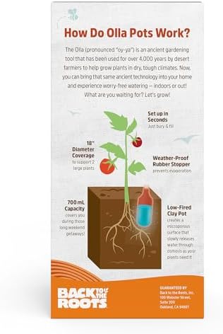Back to the Roots Self-Watering Terracotta Olla Pot (Pack of 3), 700mL Provides 1 Week of Precision Watering