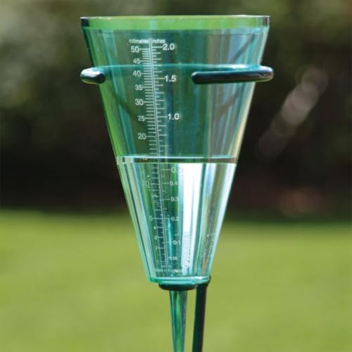 Tildenet Rain Gauge
