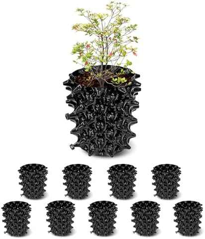 RooTrimmer 1 Gallon Air Pruning Containers, New Plastic Nursery Pots, Fruit Vegetable Garden Self-Planting Pots, Black (1G-10P)