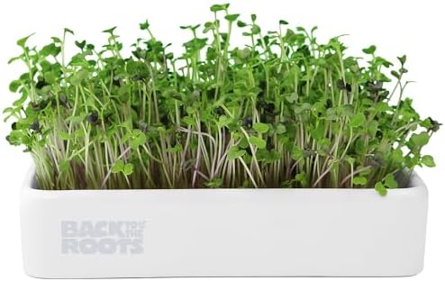 Back to the Roots Organic Microgreens Grow Kit with Ceramic Planter, Expandable Soil, Organic Seeds, and Germination Lid