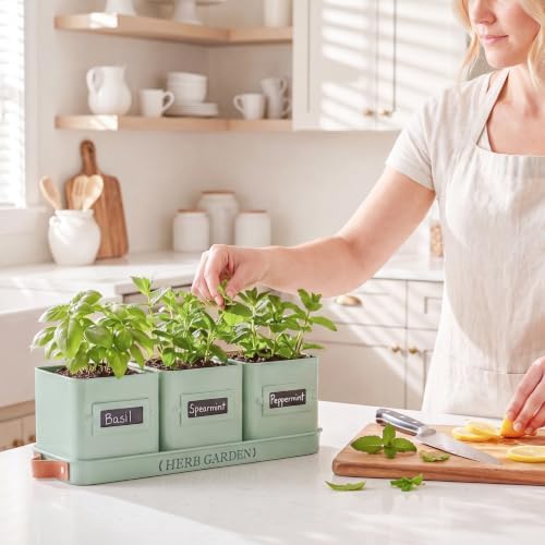 PERFNIQUE Indoor Herb Garden, Herb Planter Set with Tray, Farmhouse Indoor Plant Pots, Windowsill Herb Garden with Drainage(Planter only) for Indoor/Outdoor, Window Pots (Mint)
