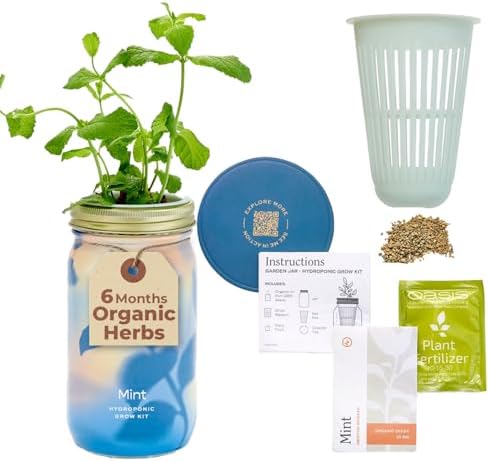 Modern Sprout Mason Garden Jar - Self-Watering Hydroponics Kit - Mint