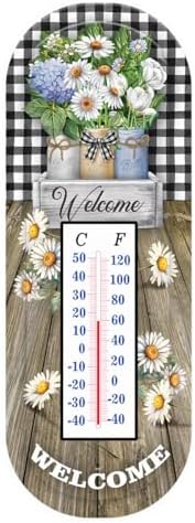 Briarwood Lane Spring Thermometer 17x6 Crated Mason Jars for Spring Thermometer