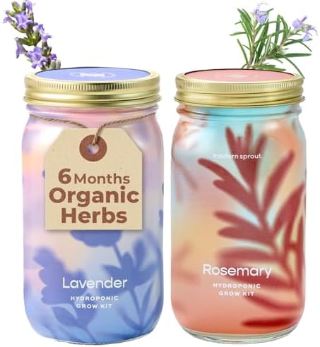 Modern Sprout Mason Garden Jar-Self-Watering Kit - Lavender+Rosemary