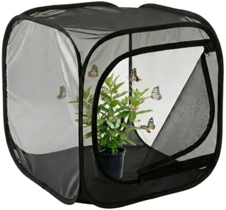 Insect & Butterfly Habitat Cage, Portable Pop-Up Terrarium with Mesh Sides, Bug Catching & Observation Enclosure for Caterpillars, Small Insects, Outdoor & Classroom Use, 12 Inches Tall