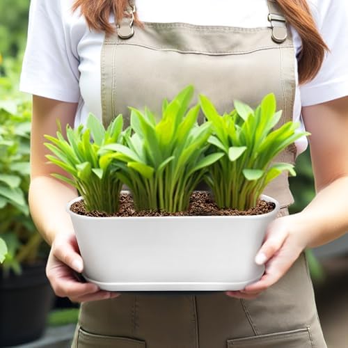 5 Set Window Herb Planter Box Rectangular,8.5x3.5 Inch White Plastic Planters with Multiple Drainage Holes and Trays,Indoor Succulent Cactus Mint Flower Pot for Windowsill,Garden Balcony
