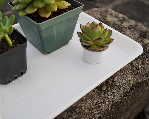 VUWEZ Rectangle Plant Tray, Plant Drip Tray, Plant Pot Saucers, Plant Germination Trays, Plant Saucers, 14.5'' x 11'' x 1.5'' (2 pack), Creamy White