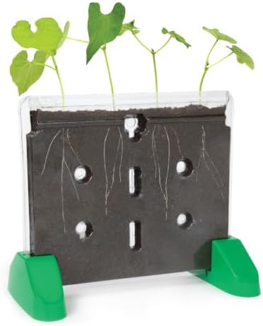 Educational Insights Sprout & Grow Window - See-Through Sprouts Growing Kit, Kids Gardening Set, Kid-Friendly Science Kits, Root Viewer, Gardening Kit for Kids, Indoor Classroom Planter, Ages 5+