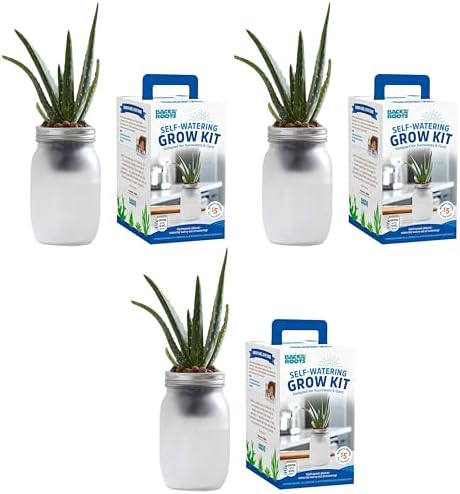 Back to the Roots Self Watering Grow Kit - Glass Hydroponic Planters for Succulents and Cacti Self-Watering System (Pack of 3)