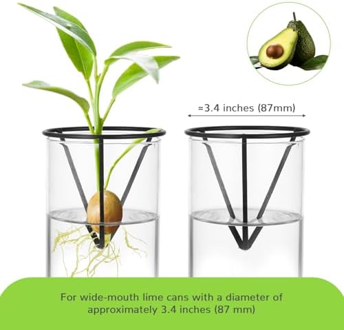 4Pcs Avocado Seed Starter vase Holders That can be Used as Propagation Kits for Plant Propagation vases, not only for Avocados but Also for Other Similar Plants (Carrots, Sweet Potatoes, etc)