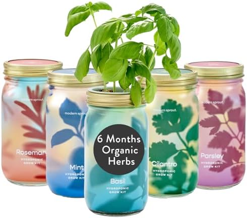 Modern Sprout Mason Jar Grow Set 5pk - Hydroponic Indoor Herb Garden Kit